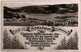 CPA AK Gruss Aus Schluchsee GERMANY (1019303) - Schluchsee