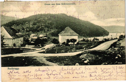 CPA AK Schluchsee Gruss Aus Dem Schwarzwald GERMANY (1019331) - Schluchsee