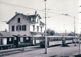 Chemin De Fer Suisse Train En Gare De Mézières Photo Rochaix 1962 BVA 112.10 TL - Jorat-Mézières