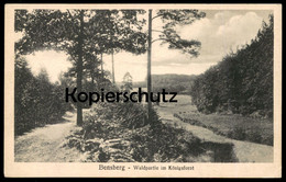 ALTE POSTKARTE BENSBERG WALDPARTIE IM KÖNIGSFORST Ansichtskarte Cpa Postcard AK - Bergisch Gladbach