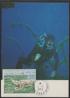 TAAF - OISEAU - PLONGEE SOUS MARINE/ 1989 CARTE MAXIMUM PREMIER JOUR DU # 146 - FDC (ref CM267) - Duiken