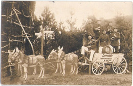 Munster MUNSTERLAGER Niedersachsen Lieselotte Marketenderin X. ArmeeKorps Soldaten Jux Eselkarren Ungelaufen - Munster