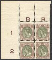 Nederland 1899 NVPH Nr 70 Blok Van 4 Postfris/MNH Koningin Wilhelmina Plaatfout PM13 - Neufs