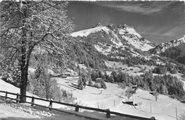 Région Barboleusaz Gryon Les Diablerets - Gryon