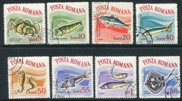 ROMANIA 1964 Marine Fauna  Used.  Michel 2280-87 - Oblitérés