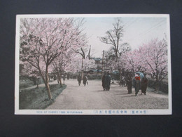 Japan 1914 AK View Of Cherry Tree Miyukisaka Mit 4 Sondermarken Mit Violettem Sonderstempel - Covers & Documents