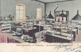 Institut Agronomique De Carlsbourg, Le Laboratoire Des élèves (pk74244) - Paliseul