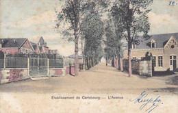 Etablissement De Carlsbourg, L'avenue (pk74247) - Paliseul