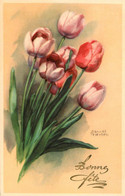 Hannes PETERSON * CPA Illustrateur * N°5195 * Bonne Fête * Fleurs Tulipes - Petersen, Hannes