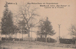 WOERTH  -  Arbre "Mac-Mahon" Colonne De La Victoire - Woerth