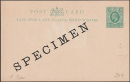 Est Africain Et Ouganda Vers 1902. Entier Postal, Carte Surchargée Specimen, Edouard / Edward VII - Afrique Orientale Britannique
