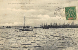 1906- C P A  Affr. 60 C Groupe Oblit. Cad St PIERRE -MIQUELON - Covers & Documents
