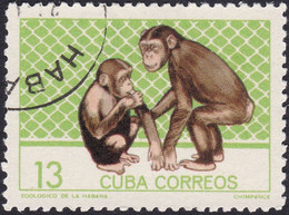 CUBA, 1964, Animaux (faune) | Jardins Zoologiques | Mammifères | Singes | Singes-hominidés | Chimpanzés - Schimpansen