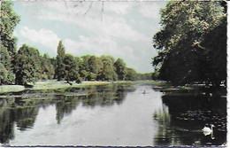 Chantilly - Le Grand Canal Dans Le Parc - Chantilly