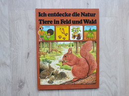 Jugendsachbuch (1970er) - Ich Entdecke Die Natur - Feld Und Wald - Sachbücher