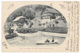 WOLFENSCHIESSEN: Hotel Eintracht Mit See Animiert 1900 - Wolfenschiessen