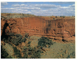 (Y 16) Australia - NT - Central Australia (2 Postcards) - The Red Centre