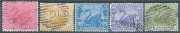 AUSTRALIA,WESTERN AUSTRALIA,1898 -1907 Black Swan - New Watermark,Oblitered - Gebruikt