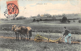 PIE-R.F-20-2210 : SCENE DE LABOUR. ATTELAGE DE DEUX CHEVAUX. CHARRUE - Attelages