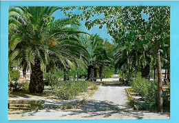 ESPAGNE----NAVALMORAL DE LA MATA--parc Municipal Casto Lozano---voir 2 Scans - Cáceres