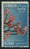 Somalia, Italian 1956 Mi 321 [Watermark: Stars] Flower, Adenium Somalense (Apocynacae) - Somalië