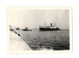 14 JUILLET 1957 ALGER - REMORQUEURS FAISANT TOURNER UN BATEAU - PHOTO - Boats