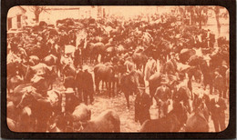 Tennessee Lynchburg Mule Days Open Air Mule Market Circa Early 1900s - Lynchburg