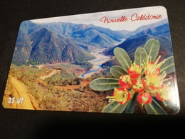 NOUVELLE CALEDONIA  CHIP CARD 25  UNITS PLANTE ENDEMIQUE DU SUD  /FLOER IN THE MOUNTAINS         ** 4192 ** - Neukaledonien