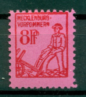 Mecklembourg-Pomeranie 1945-46 - Michel N. 11 X B - Série Courante (Y & T N. 5) - Nuevos