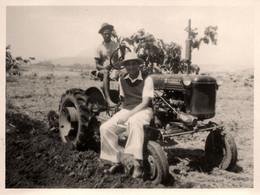 Tracteur Ancien De Marque FARMALL * Tractor * Thème Agricole Agriculture * Madagascar * Photo Ancienne Années 50 - Tracteurs