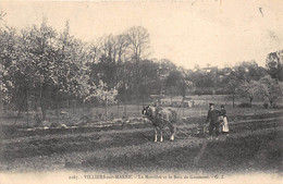 94-VILLIERS-SUR-MARNE- LA MORTIERE ET LE BOIS DE GAUMONT - Villiers Sur Marne