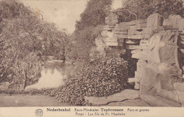 Nederbrakel, Eaux Minérales Topbronnen, Parc Et Grottes (pk75377) - Brakel