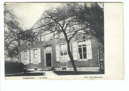 Buggenhout  La Cure 1909 - Buggenhout