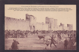 CPA Provence Taureaux Gardian Camargue éditeur Bernheim Nîmes Non Circulé - Provence-Alpes-Côte D'Azur