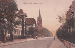 Höchst A. M. Feldberg-Strasse (1919, Cachet TRESOR ET POSTES) - Hoechst