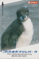 RARE Carte Prépayée JAPON - ANIMAL - OISEAU - Bébé MANCHOT GORFOU - ROCKHOPPER PENGUIN BIRD JAPAN Passnet Card - BE 5330 - Pinguins