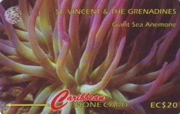 STVINCENT : 142C 20 Giant Sea Anemone USED - Saint-Vincent-et-les-Grenadines