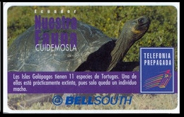 ECUADOR : BSP105A 100 GALAPAGOS Turtle   (white Frame) USED - Ecuador