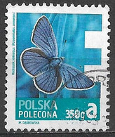 Poland 2013. Scott #F1 (U) Insect, Polyommatus Semiargus - Sonstige & Ohne Zuordnung