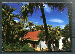 LA REUNION - Case Aux Environs De SAINT PIERRE - Saint Pierre