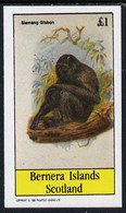Bernera 1982 Primates (Siamang Gibbon) Imperf Souvenir Sheet (£1 Value) U/M - Non Classés