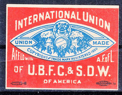 USA 1920 International Union, Vignette, Cinderella, Lebel - Non Classés