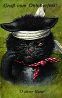 Katze Mit Kopfverband, "Gruss Vom Oktoberfest", Sign. Arthur Thiele - Thiele, Arthur