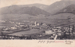 2967 - Österreich - Steiermark , Langenwang , Panorama - Gelaufen 1901 - Langenwang