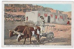 USA - NEW MEXICO -- ALBUQUERQUE - LAGUNA -  OLD CARETTA  - 1934 - Albuquerque