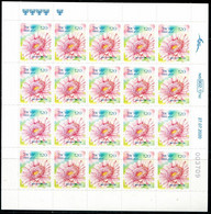 XB1958 Israel 2020 Beautiful Wild Flowers Sheet - Nuevos (sin Tab)