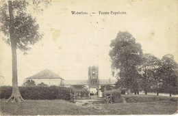 Waterloo Ferme Papelotte 1917 Cachet Allemand  Au Verso  Peu Courant - Nivelles