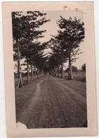 Photo Originale Haut Sénégal NIGER MALI SEGOU 1932 - Africa