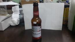 Belguim-budweiser King Of Beers-(330ml)-(5%)-bottles-used - Beer