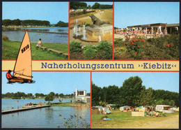 E5452 - TOP Falkenberg Kiebitz - Bild Und Heimat Reichenbach Qualitätskarte - Falkenberg